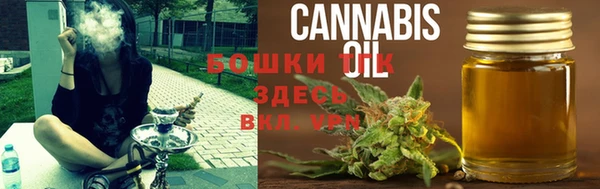 крисы Баксан