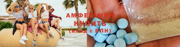 крисы Баксан