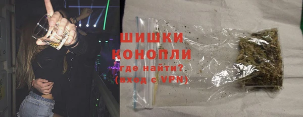 крисы Баксан