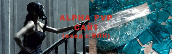крисы Баксан