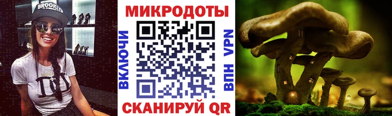 Галлюциногенные грибы Psilocybe  купить наркоту  Чулым 